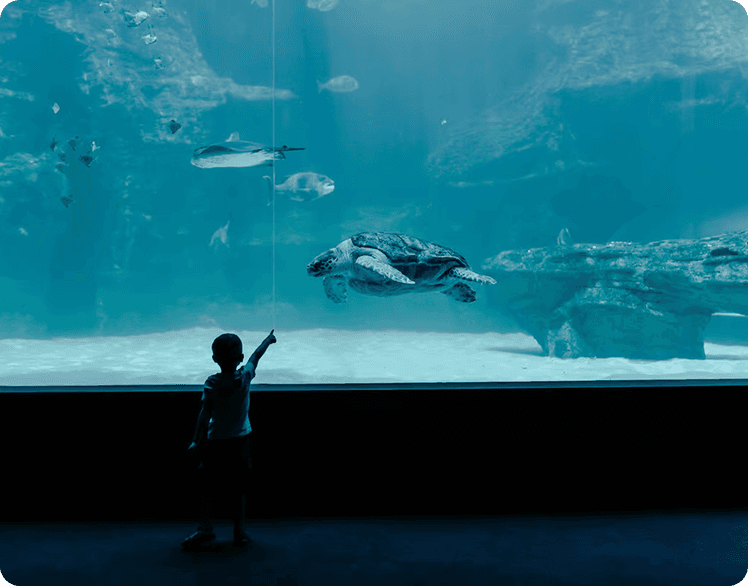 The Two Oceans Aquarium