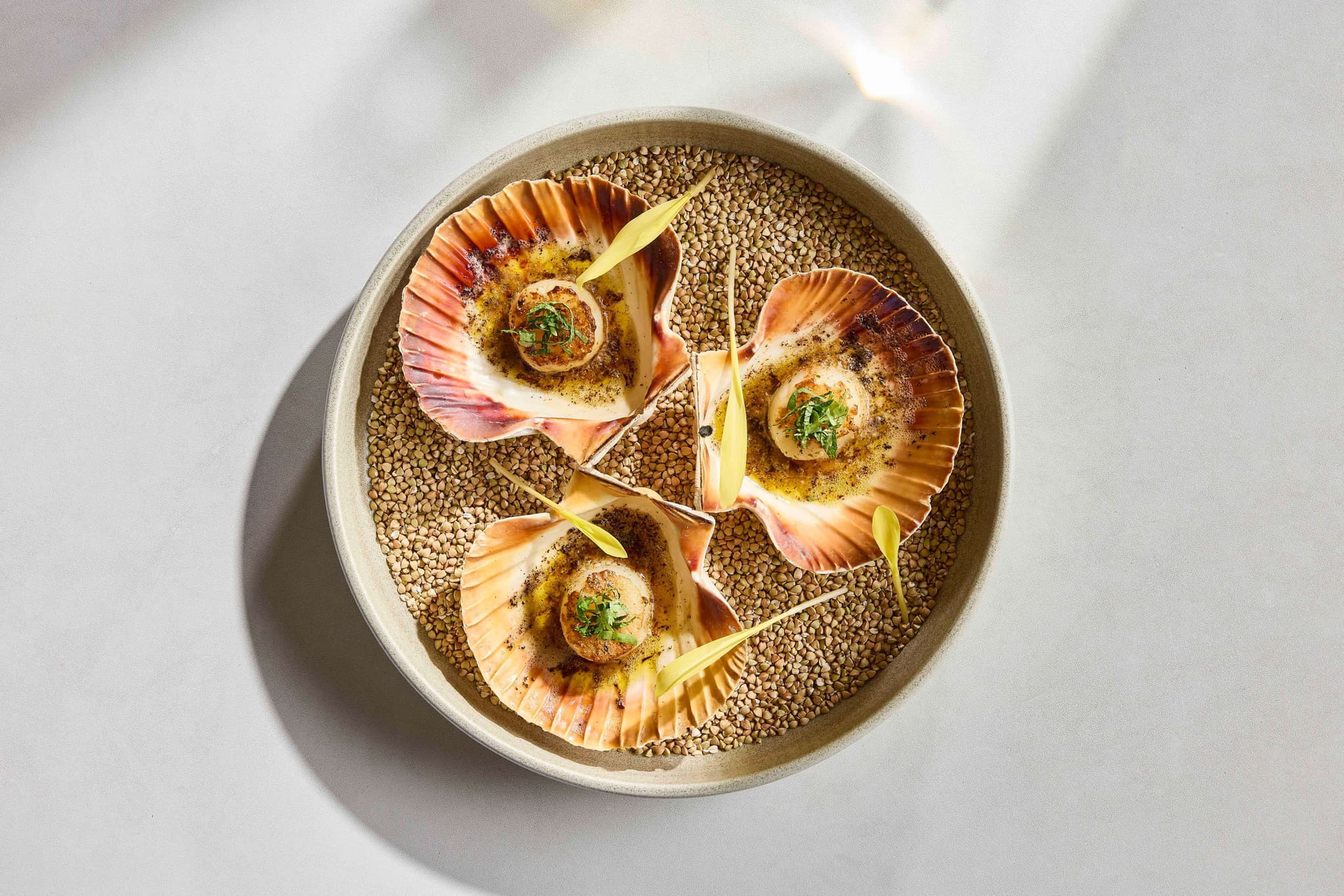 Beautifully plated dish prepared by Kove Collection