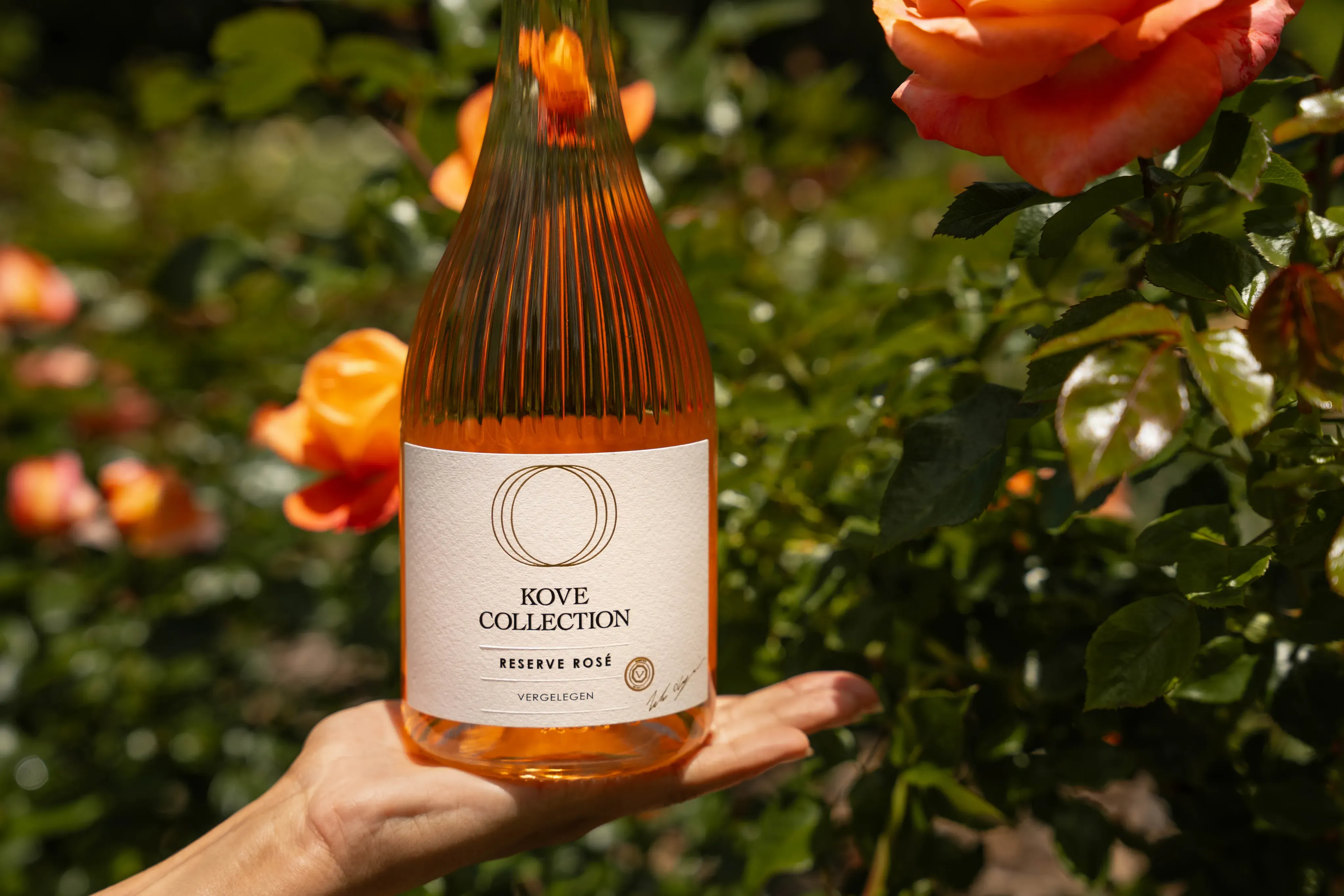Wine Bottle