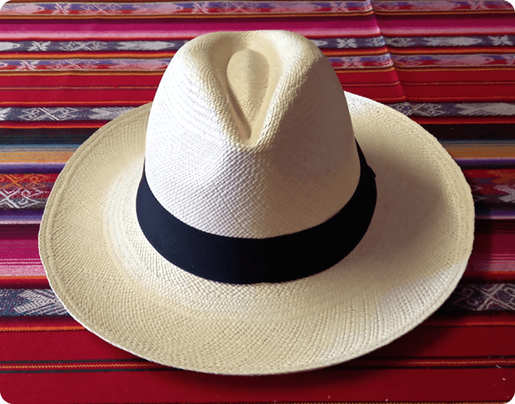 panama hats