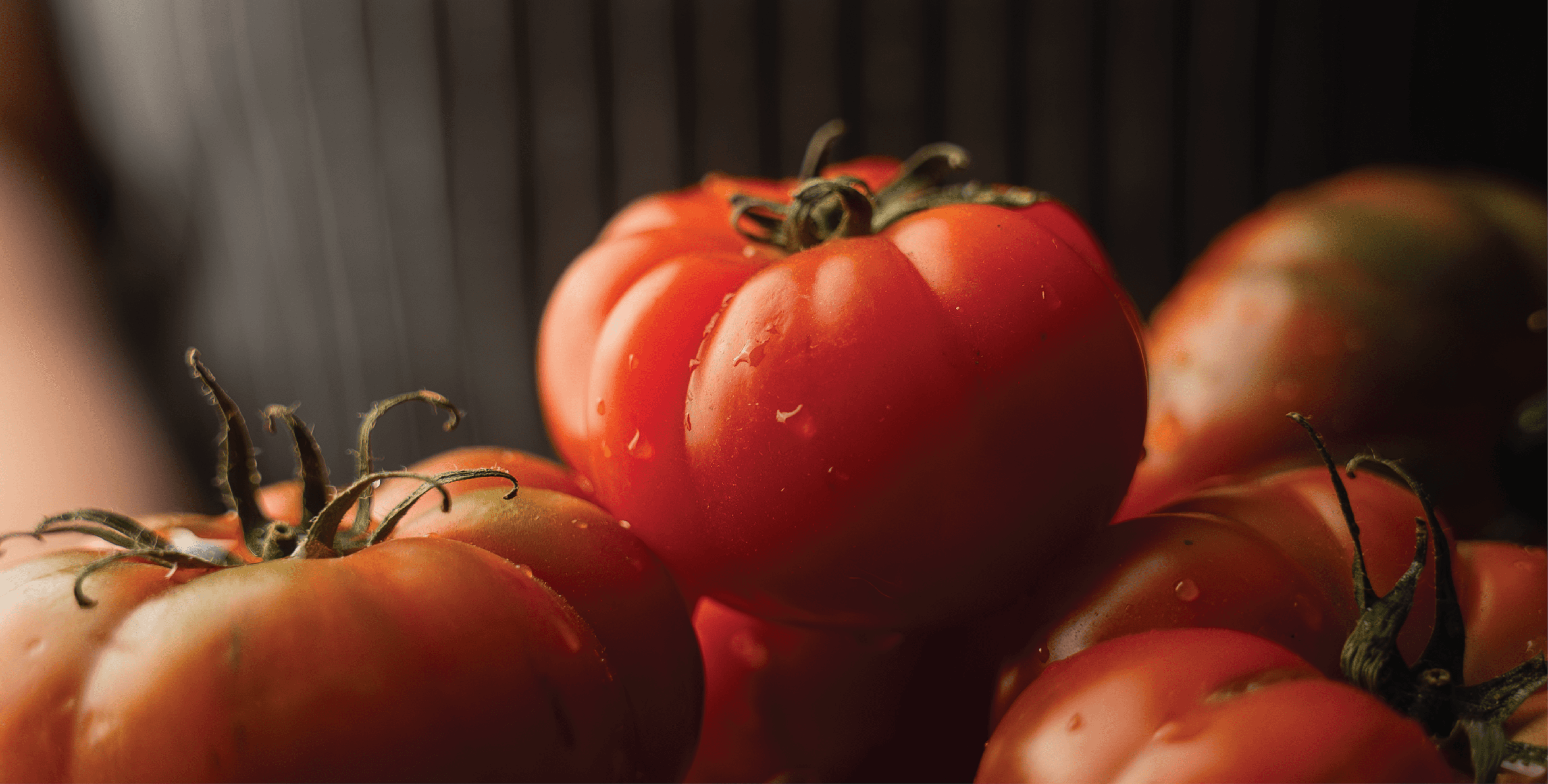 Figo tomatoes